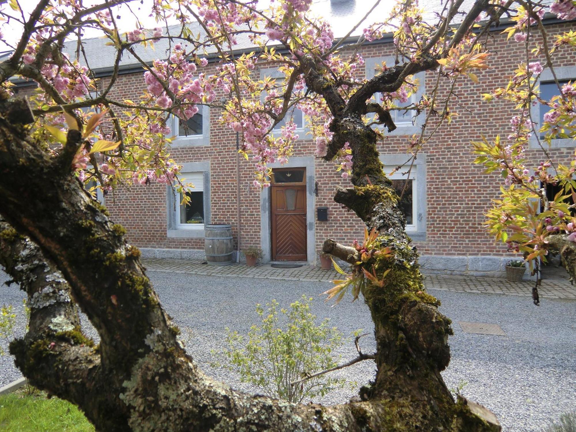 B&B Au Coeur De Villers Exterior photo